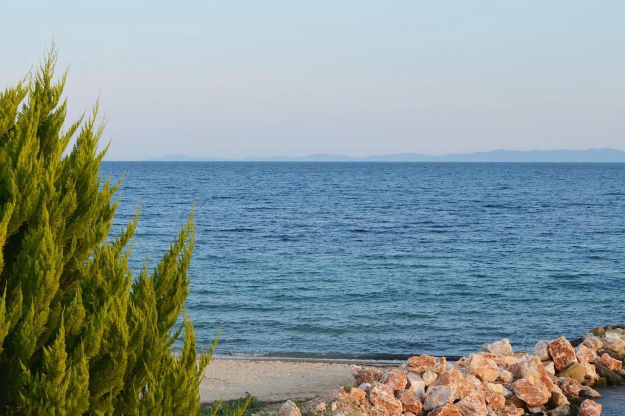 Lemon Beach Front Apartment, Nikiti Bagian luar foto